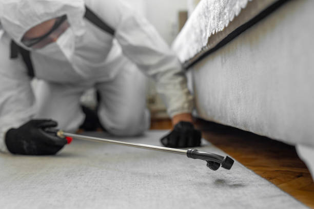 Professional Mosquito Control technician working in Nice, CA