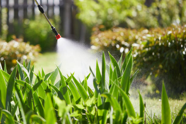 24/7 Emergency Mosquito Control experts in Nice, CA