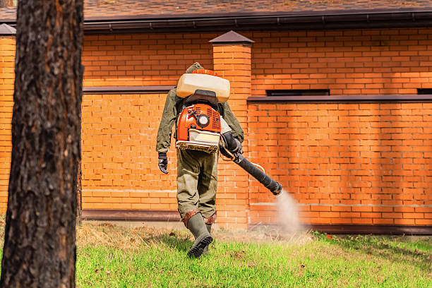 Trusted Emergency Pest Control service in Nice, CA - Nex Pest Control